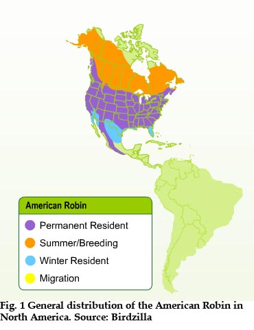 General distribution of the American Robin in North America