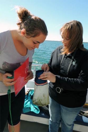 Students examining water sample for marine debris image.
