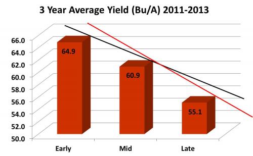 Average yield